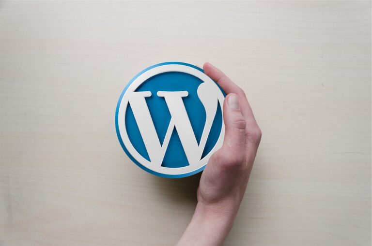 Top 5 Best WordPress Optimization Plugins